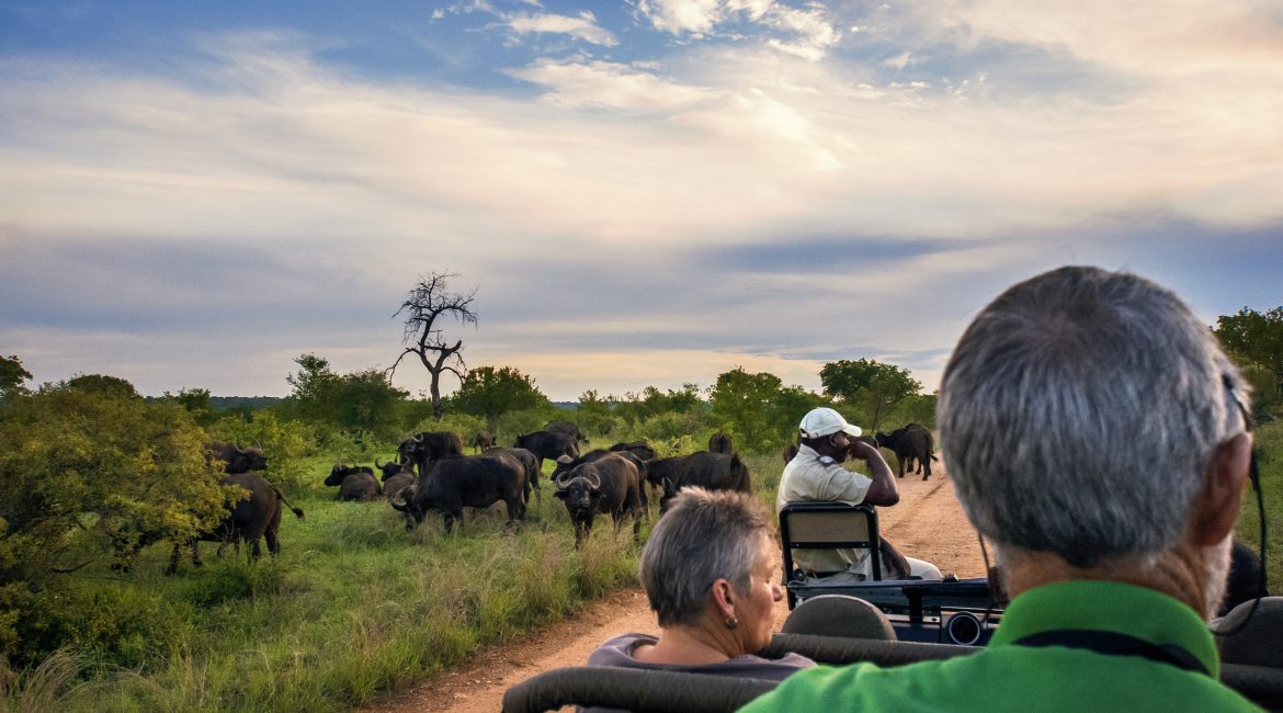 KRUGER NATIONAL PARK GAME DRIVE FEE visual data 7