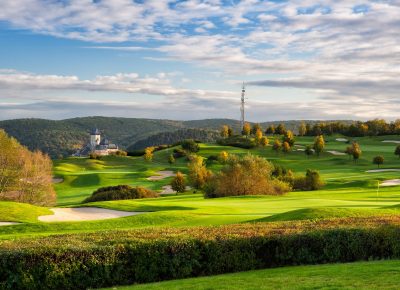 Detail of autumn golf course